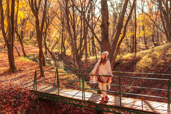 Donna in piedi su un piccolo ponte di legno in un bosco autunnale.
