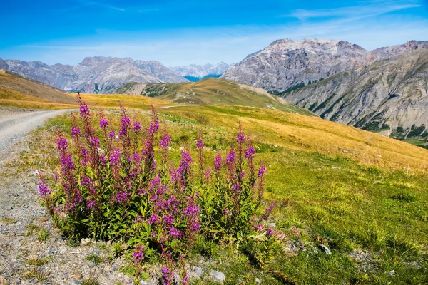 shutterstock_1874300815